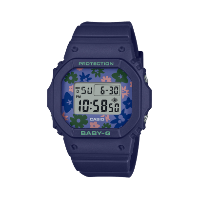 BGD-565RP-2DR